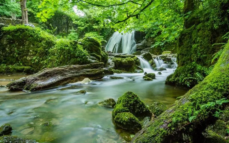高标准智能系统可靠性